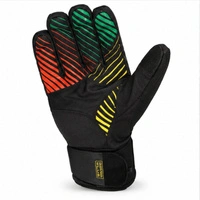 Rękawice unisex Level Switch PK Therm Plus narciarskie r. S / 7